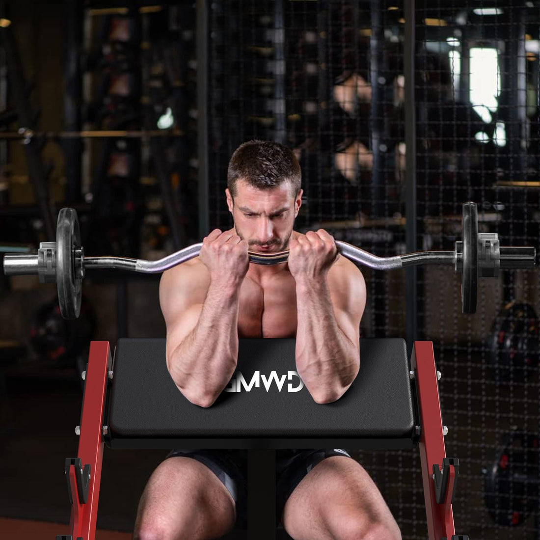 Preacher Curl Bench PB02